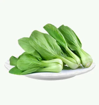 Bok Choy Microgreens